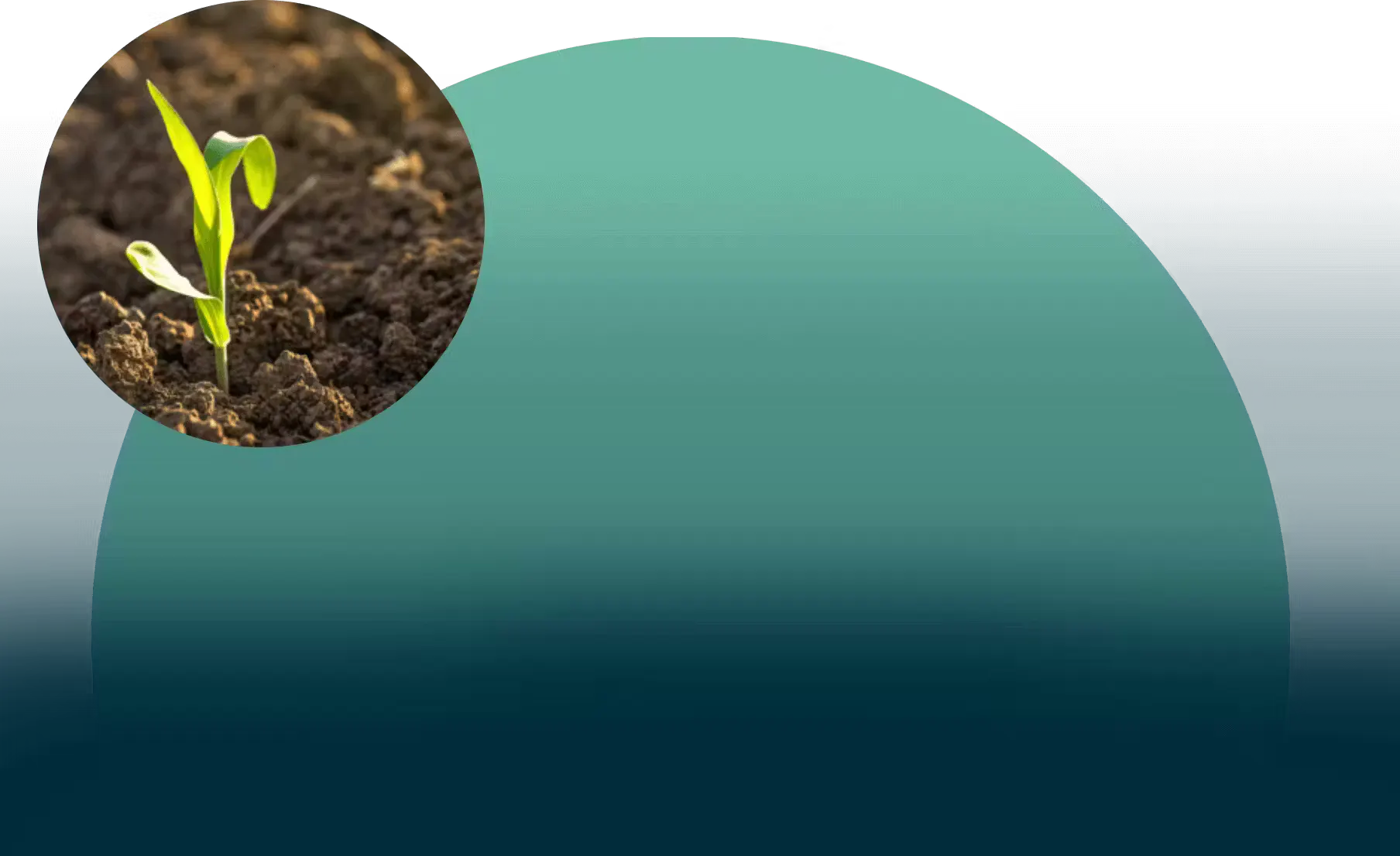 Seedling over half moon graphic