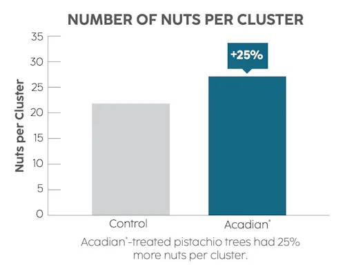 A bar chart showing the number of nuts per cluster analysis on a control versus nuts treated with Acadian.