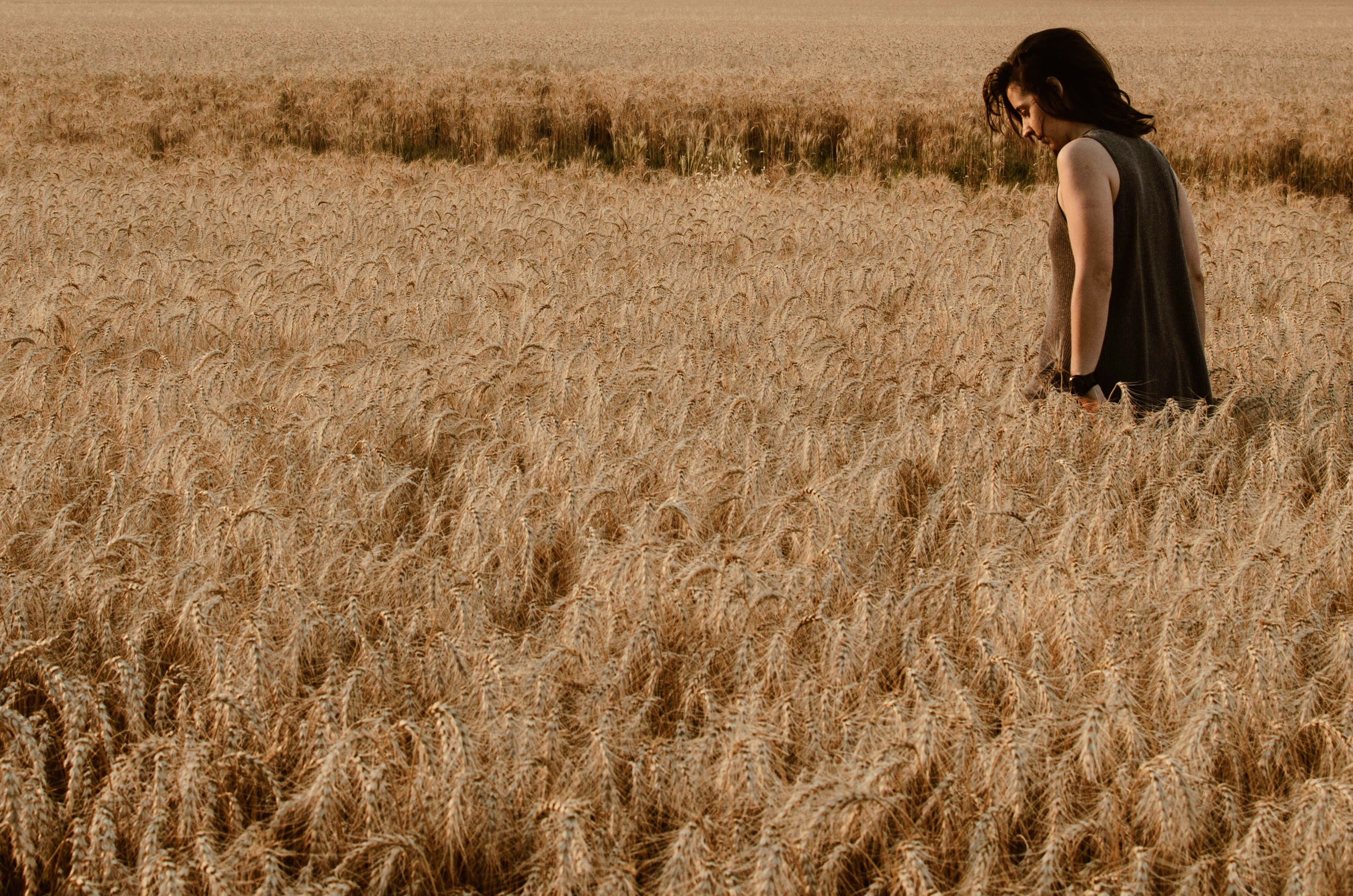 A woman walks through a vast field of tall wheat.