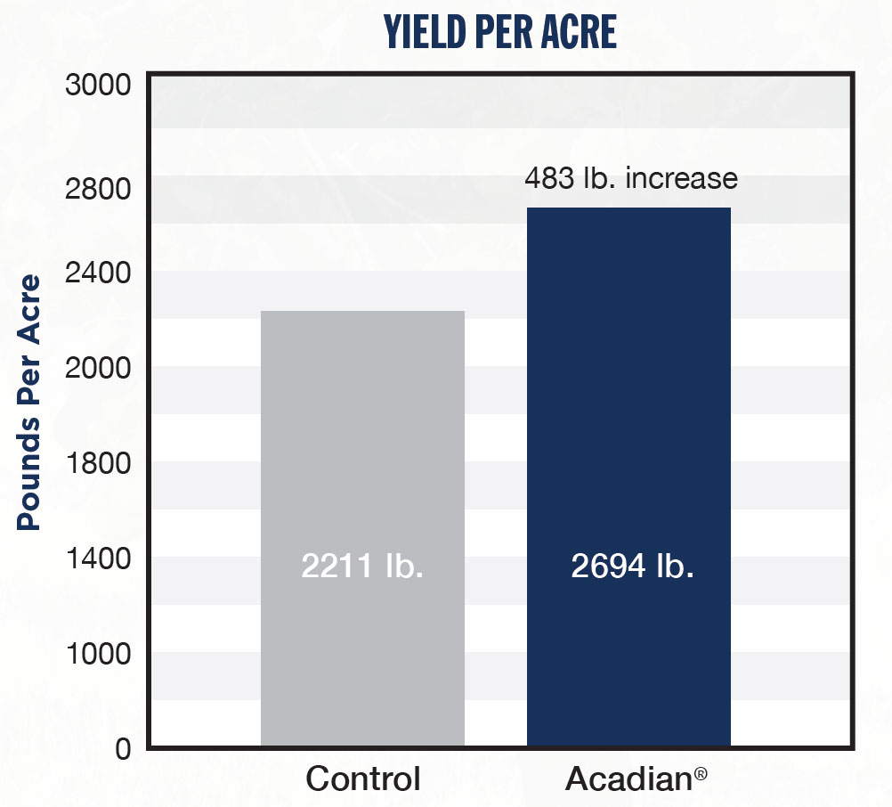 A bar chart comparing Yield per Acre of Almonds that were untreated, and those treated with Acadian.