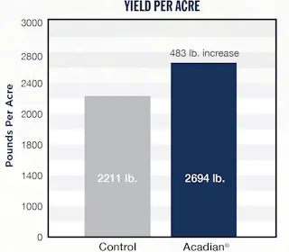 A bar chart comparing Yield per Acre of Almonds that were untreated, and those treated with Acadian.