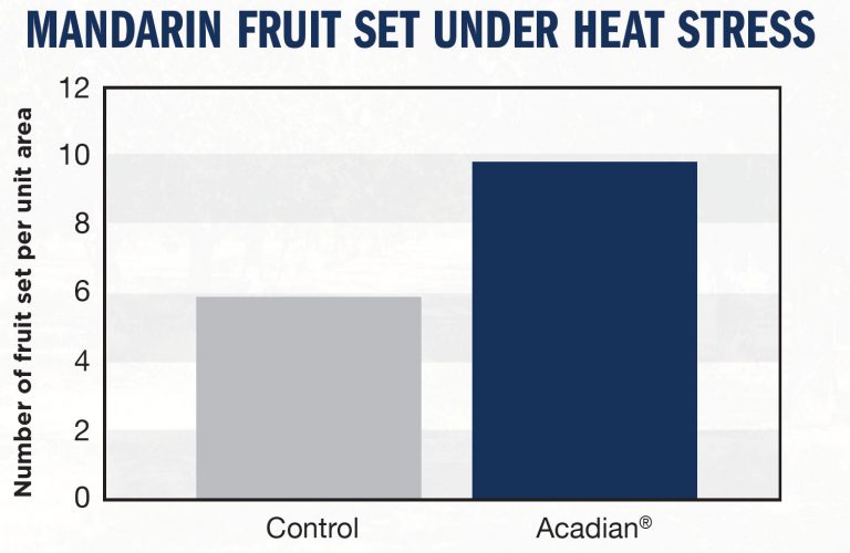 A bar chart showing an analysis of mandarin fruit under heat stress.