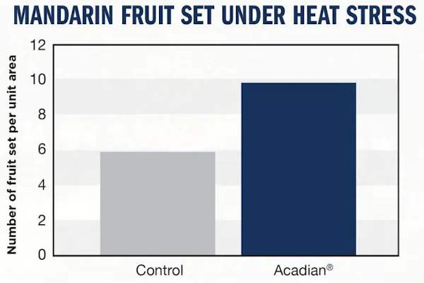 A bar chart showing an analysis of mandarin fruit under heat stress.