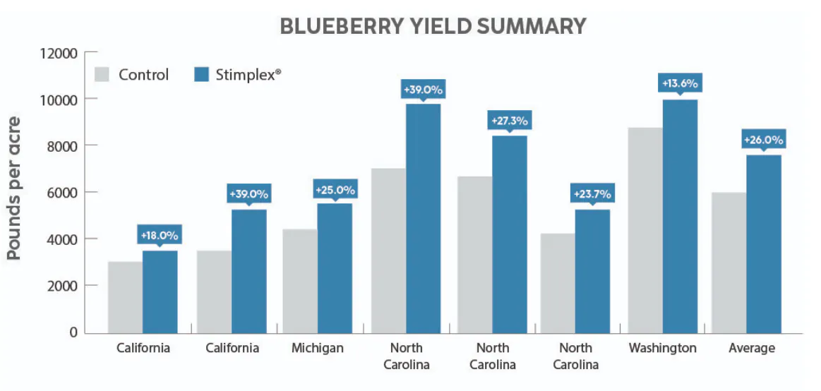 A bar chart analysis of blueberries.