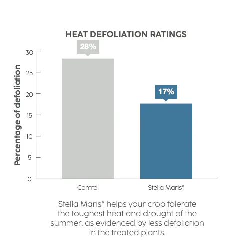 A bar chart analysis of blueberries.