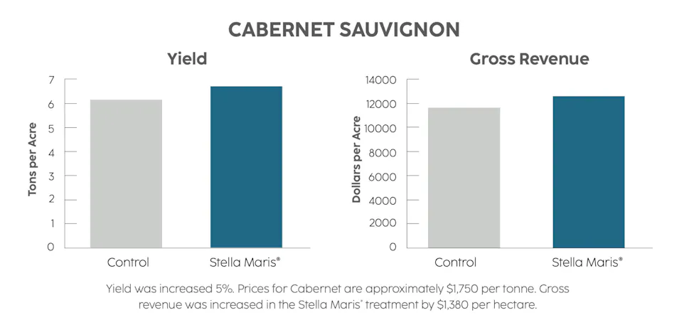 A bar chart showing an analysis of cabernet sauvignon wine grapes.