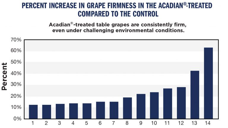An analysis of table grape firmness.