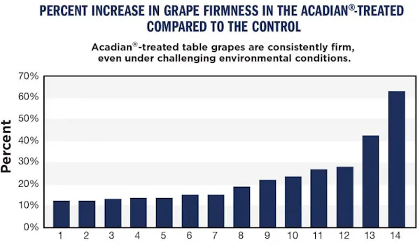 An analysis of table grape firmness.