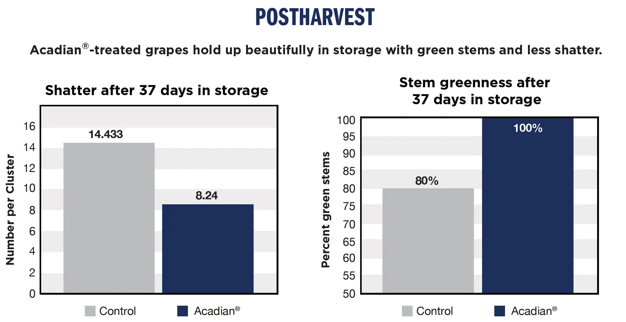 A postharvest analysis for table grapes.