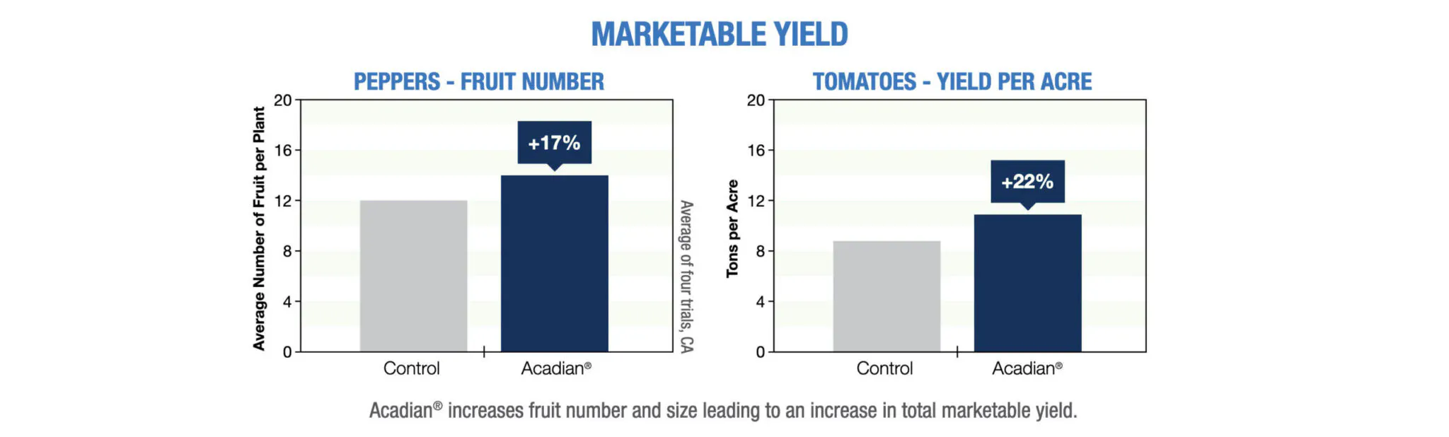 An analysis of marketable yield of both peppers and tomatoes.