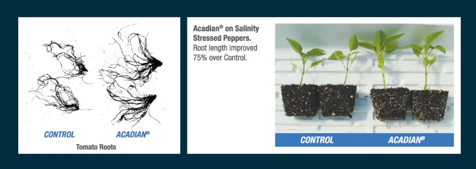 Two charts analyzing plant growth performance.