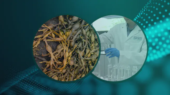 boosthor-Acadian-biostimulant