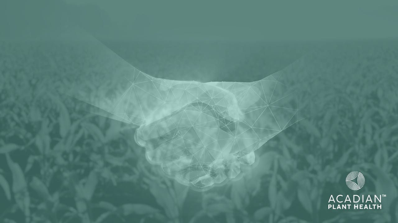 Two hands in a handshake, overlayed on an image of a vast field. The hands are glowing, and the photo has a blue filter.