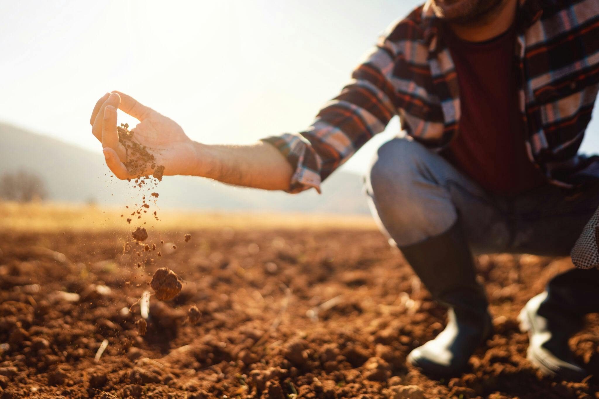 A farmer in a checkered shirt and rubber boots squatting down in a dirt field, holding soil in his hand and letting it fall to the ground