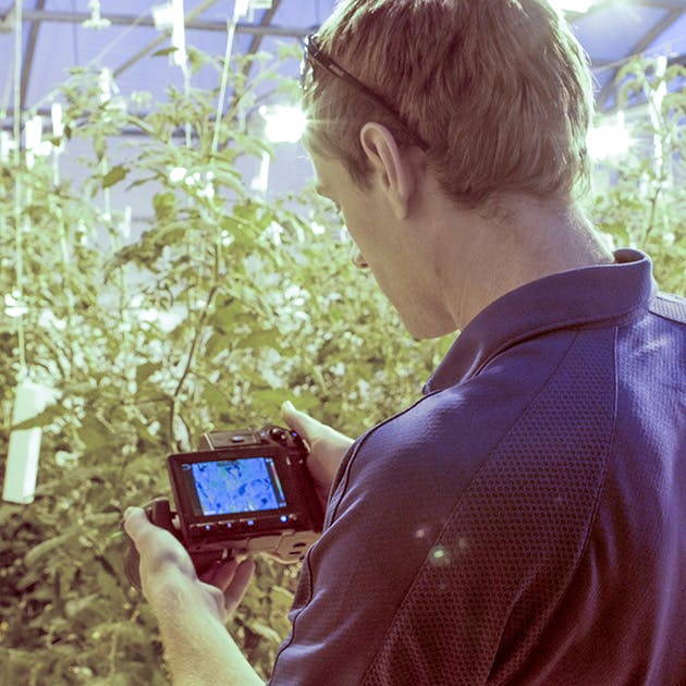 A man in a blue polo shirt stands in front of tall plants with a camera, reviewing a photo of the plants he's taken in the camera's viewfinder screen.