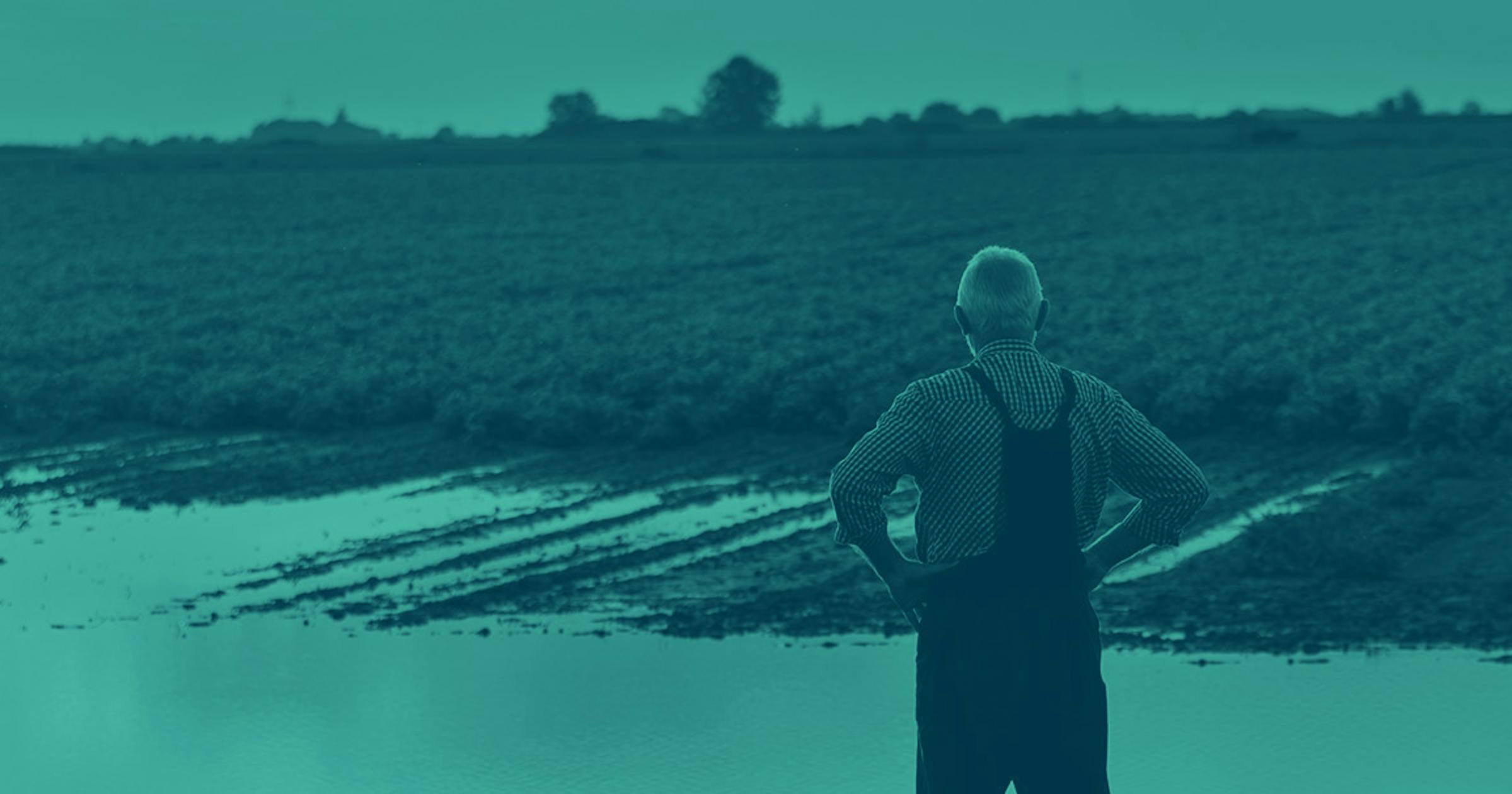 A farmer wearing overalls is shown from behind with his hands on his hips. He's gazing out over his field, which is rows of soil with a pool of water flooding part of it.