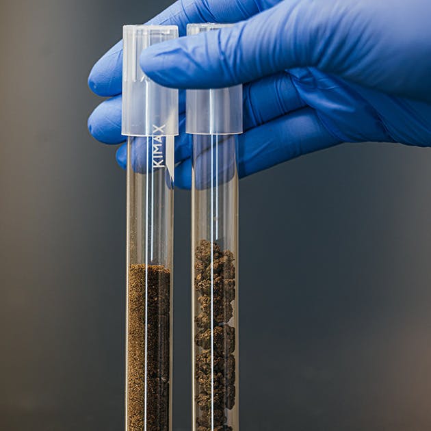 A scientist holds two clear vials in one hand. Within the vials are two different types of soil - one more sand-like and one lumpy. The scientist's hand has a blue plastic glove on.