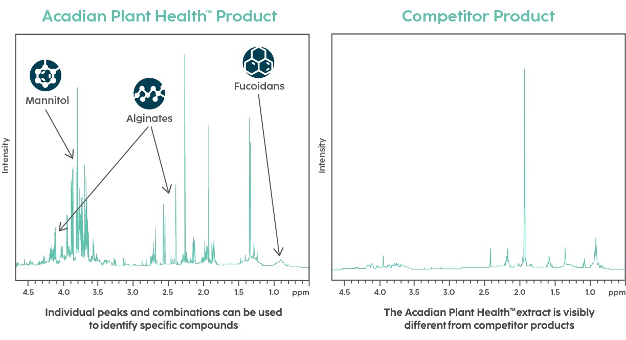 Two line graphs that show the peak performance of mannitol, alginates, and fucoidans in their alkaline extraction process for Acadian Plant Health compared to a flatlining competitor product.