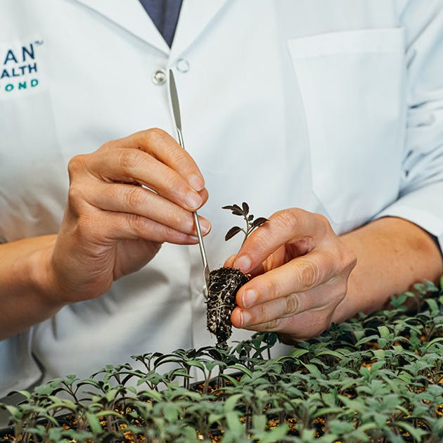 A scientist holds a small plant with its root system exposed. They are manipulating the soil and adding components in with a metal tool.