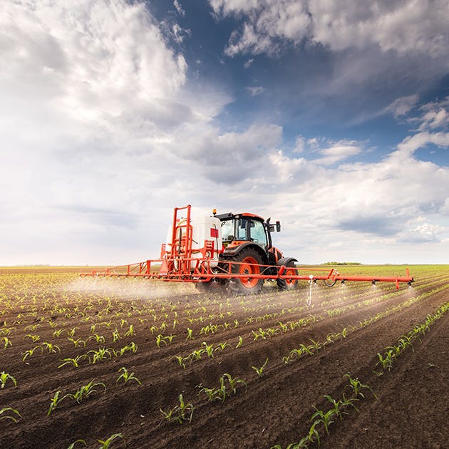An orange tractor drives across a rowed field spraying a product onto small plants that are sprouting. The sky is cloudy and blue.