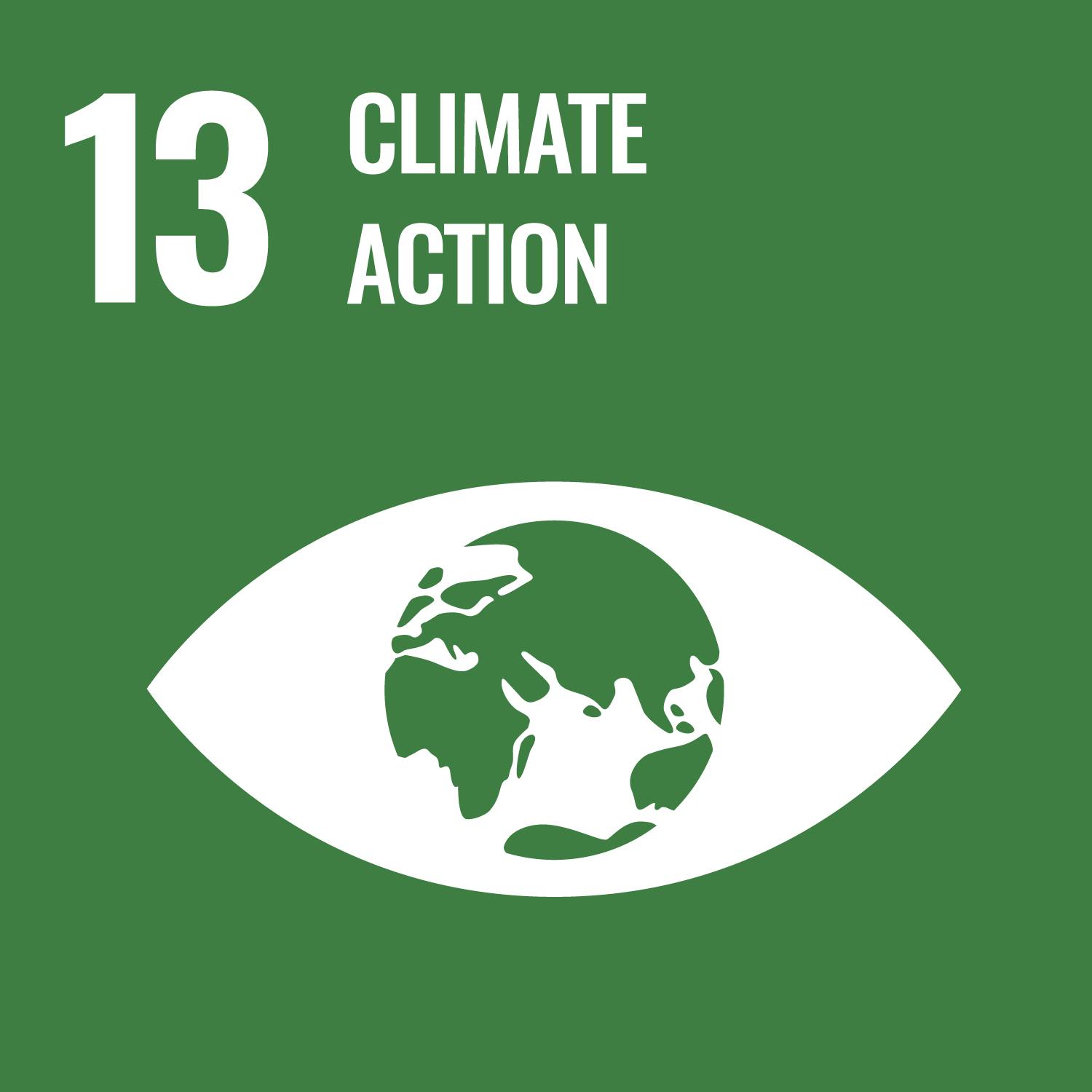 An icon of an eye is shown over a green background, and the center of the eye is planet Earth. The number 13 and the words Climate Action are in the top left corner of the image.