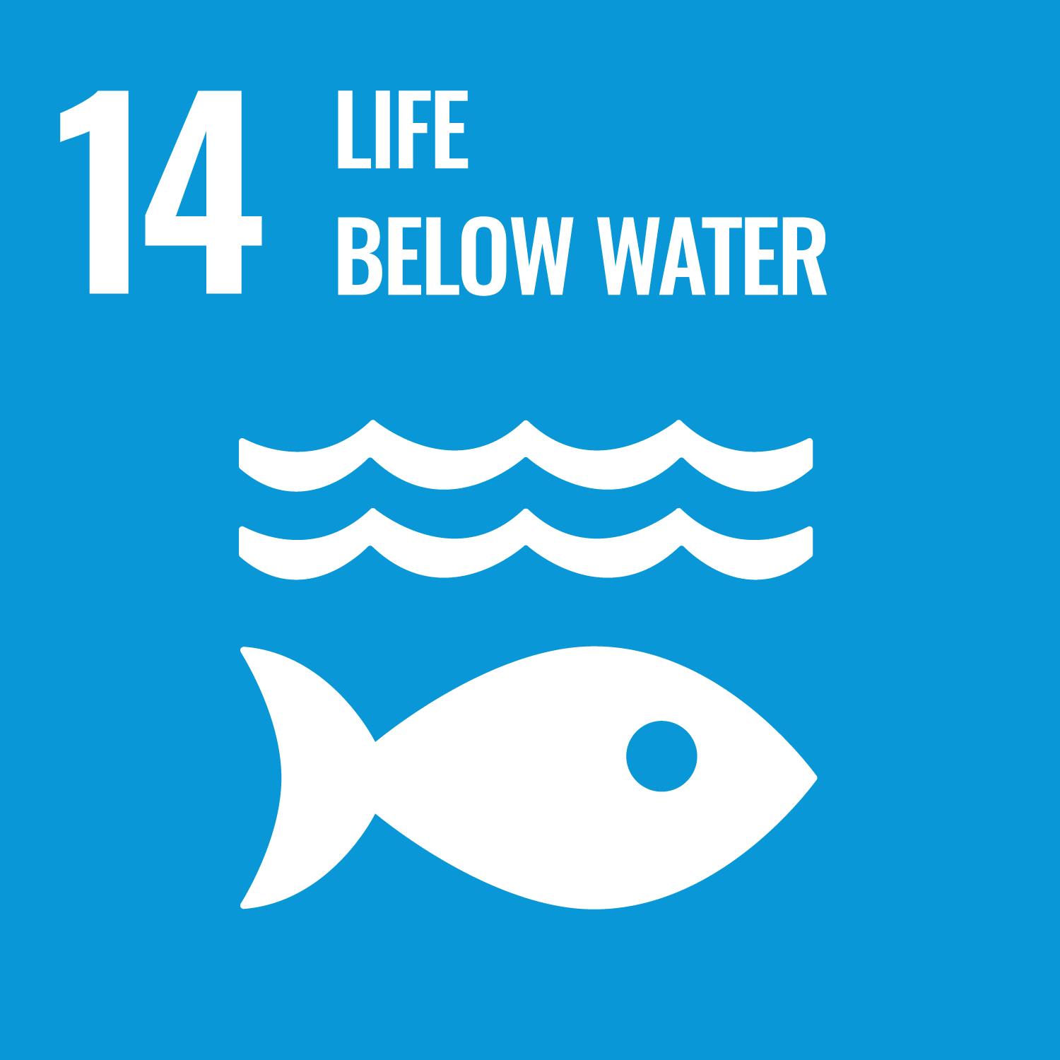An icon of a fish swimming below some waves in the ocean is placed over a blue background. The icon has the number 14 and the words Life Below Water in the top left corner of the image.