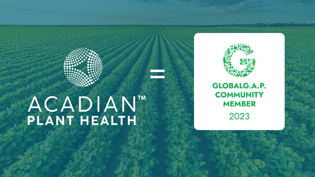 The Acadian Plant Health and the Global GAP Community Member 2023 logos are side by side with an equals sign between the two. There is a field with neat rows of green plants in the background.