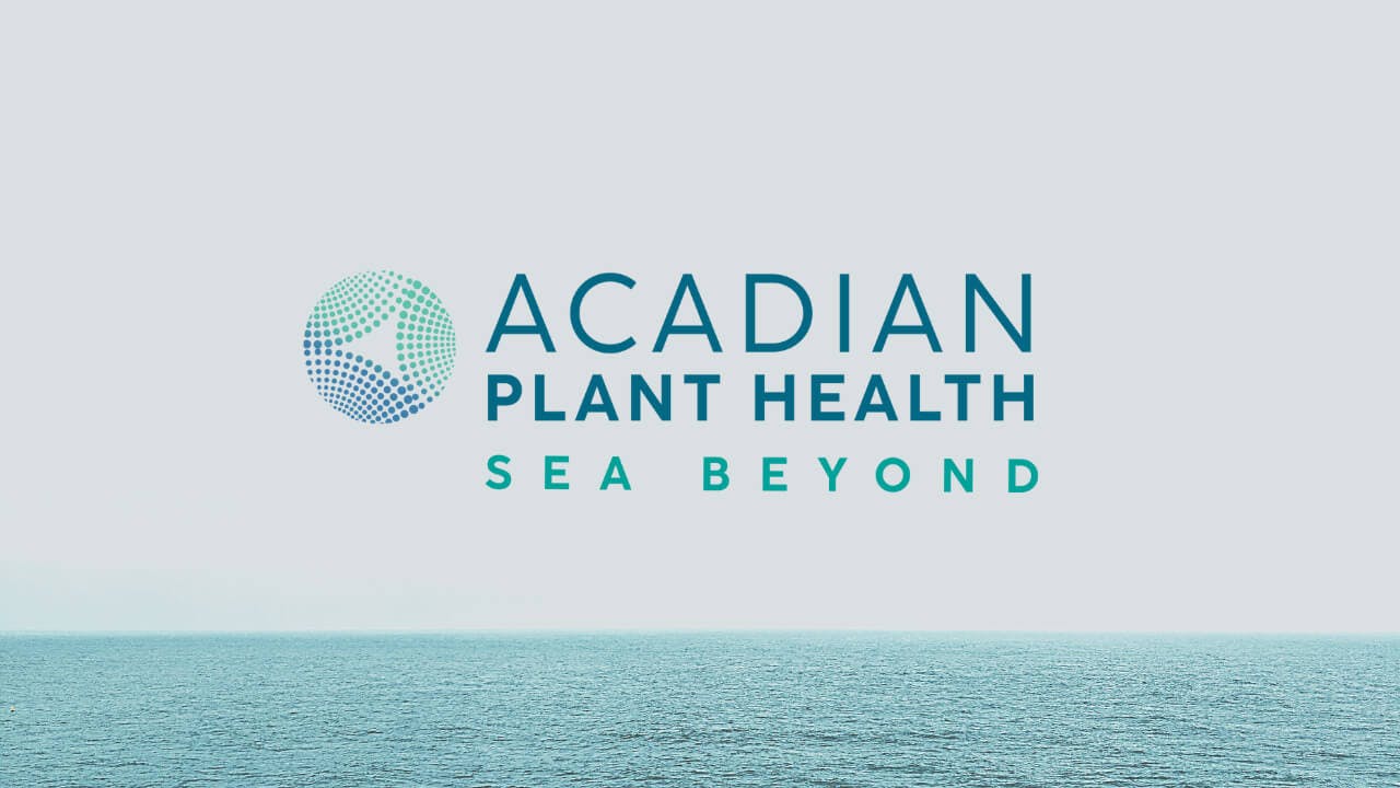 An image of a calm, flat ocean with a hazy grey sky above. In the foreground over the sky, the logo for Acadian Plant Health Sea Beyond is featured in blue lettering.
