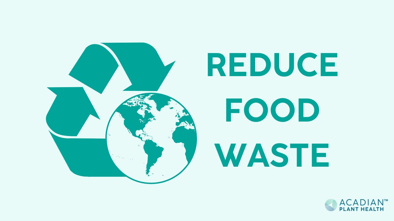 A teal green recycling symbol with the earth in its design sits beside the words "Reduce food waste" over a lighter teal background