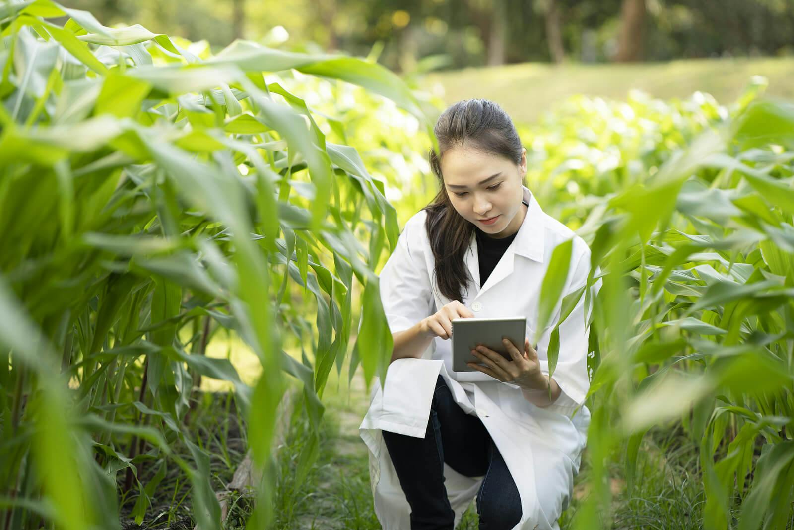 A female scientist in a white coat takes notes while crouched down beside a row of plants in a field