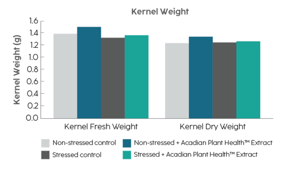 Bar chart comparing the kernel weight (fresh and dry) across both the control and Acadian treated output.