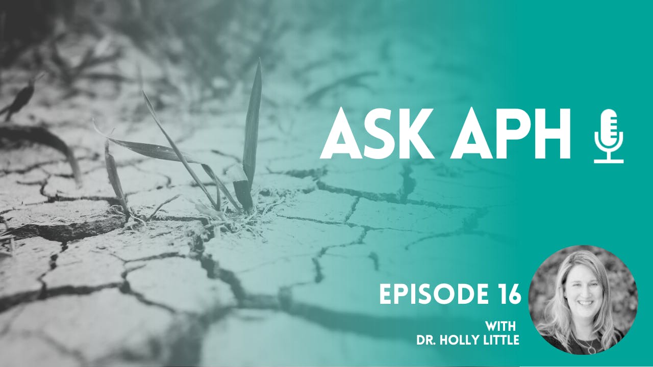 Ask APH podcast cover image with drought background and Dr. Holly Little's face. Episode 16.