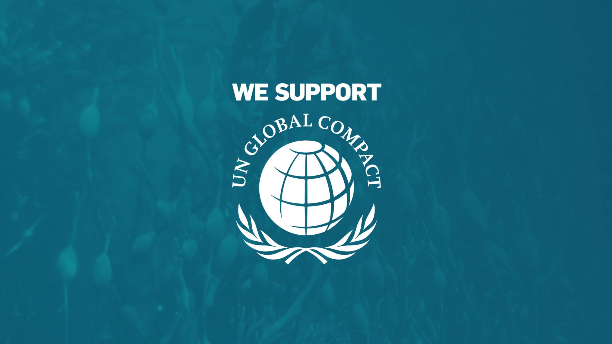 Text noting "We Support The UN Global Compact" and its logo is overlayed on a background of murky blue ocean water
