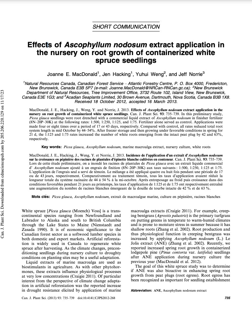 A screen grab of the first page of the academic publication for the Effects Of Ascophyllum Nodosum Extract Application on White Spruce Seedlings