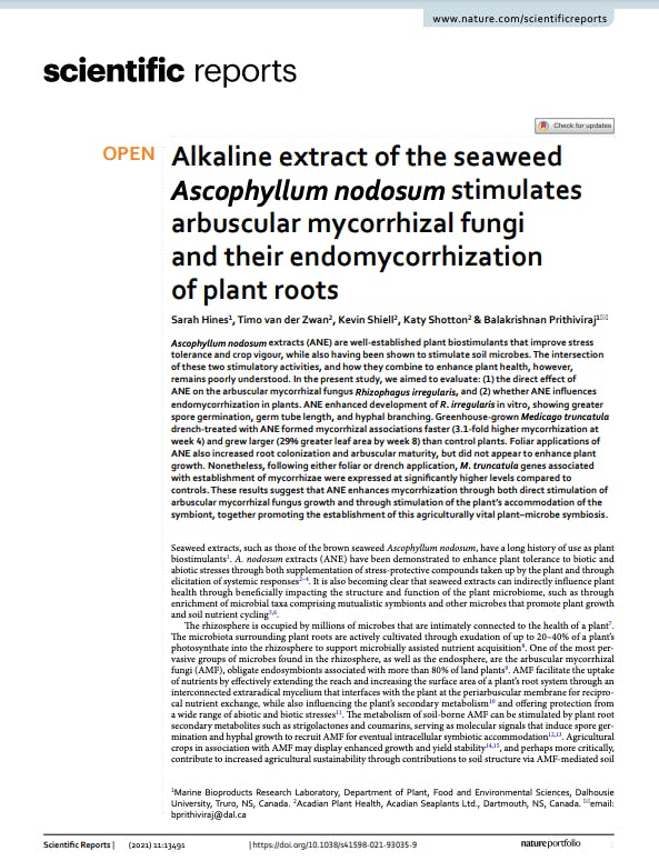 Screen grab of the first page of the publication called Alkaline Extract Of The Seaweed Ascophyllum Nodosum Stimulates Arbuscular Mycorrhizal Fungi And Their Endomycorrhization Of Plant Roots