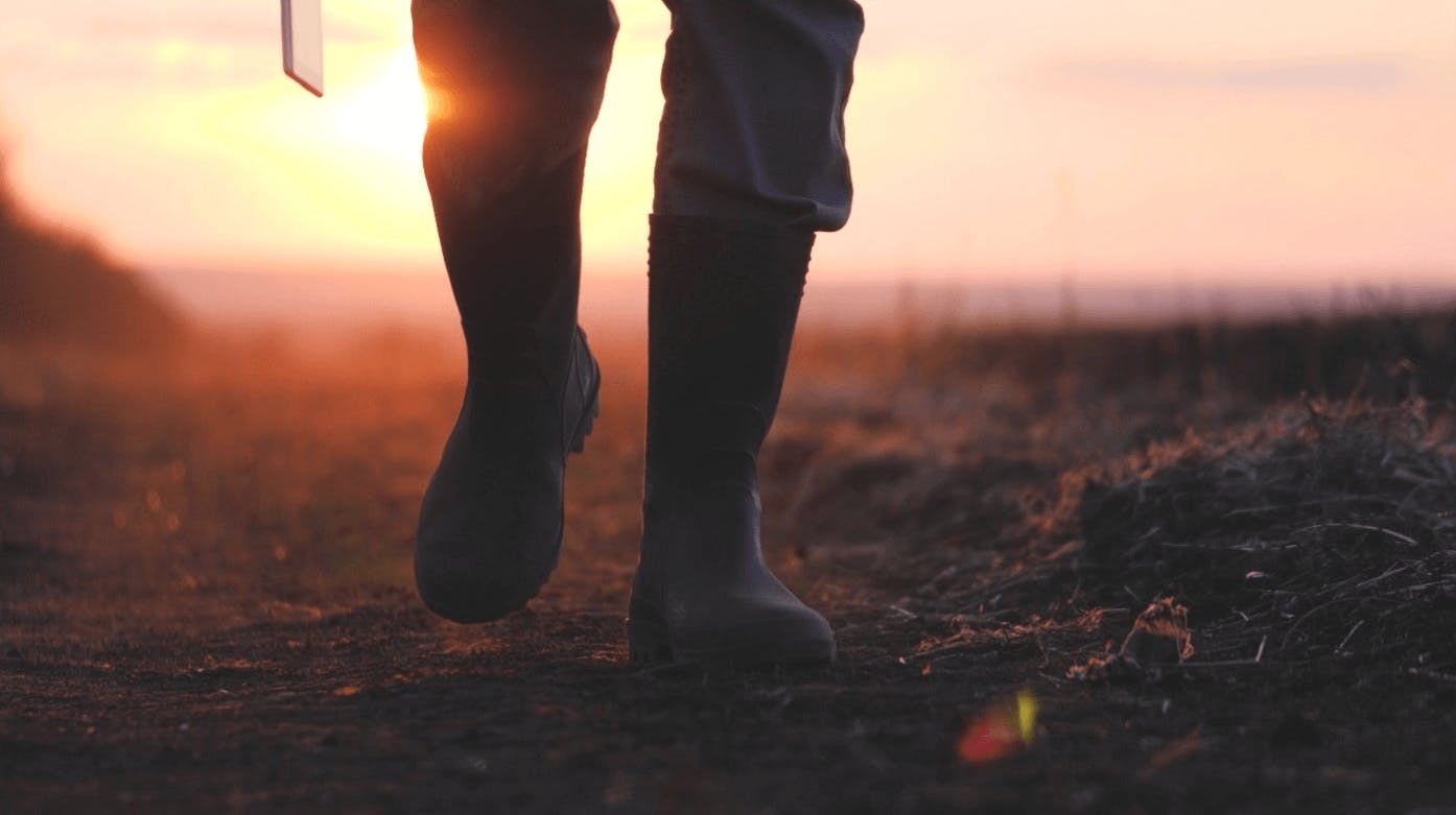 A farmer in rubber boots walks along a brown field in the dawn morning light