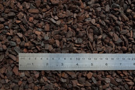 bark shown with ruler for size context