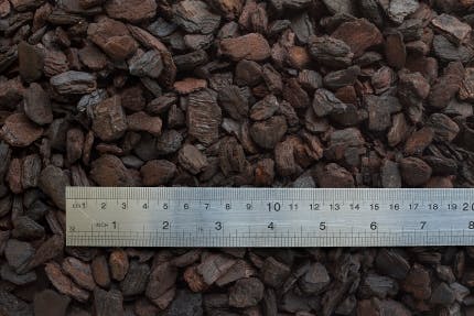 bark shown with ruler for size context