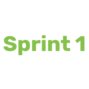 SPRINT 1
