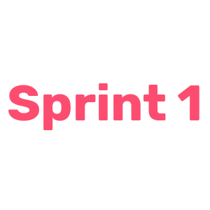 SPRINT 1