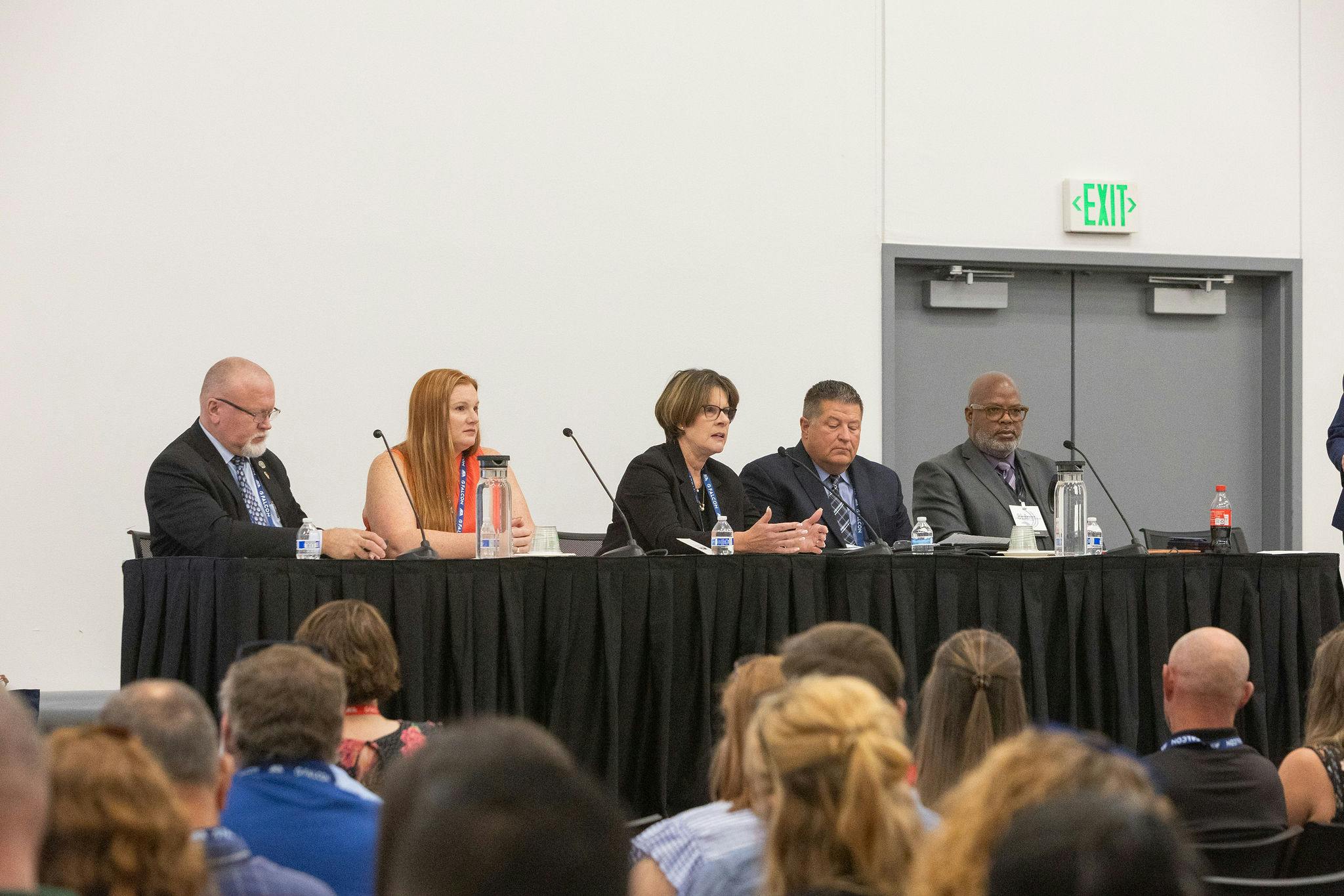 CCHA Panel at our Conference