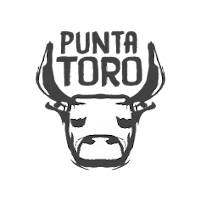 Punta toro logo