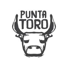 Punta Toro logo