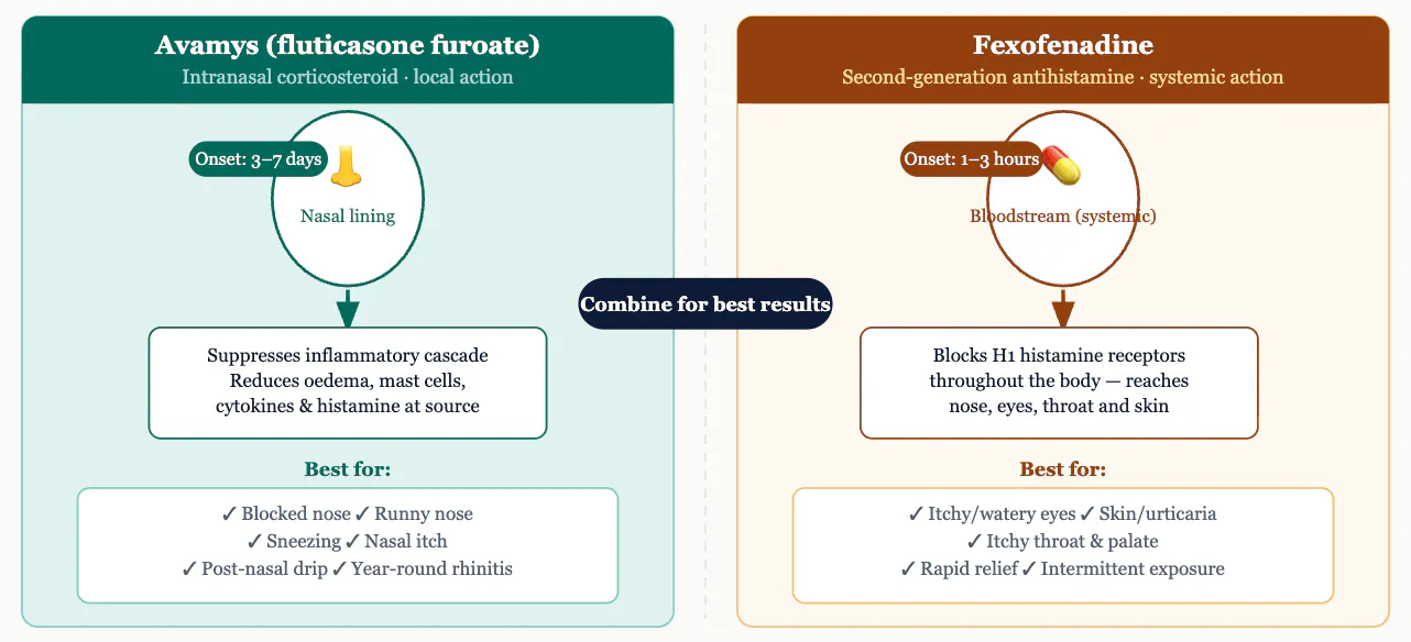 Diagram comparing how Avamys (fluticasone furoate nasal spray) acts locally in the nasal lining to suppress inflammation, versus fexofenadine which works systemically via the bloodstream to block histamine in the nose, eyes and skin. Both together give the broadest allergy relief.