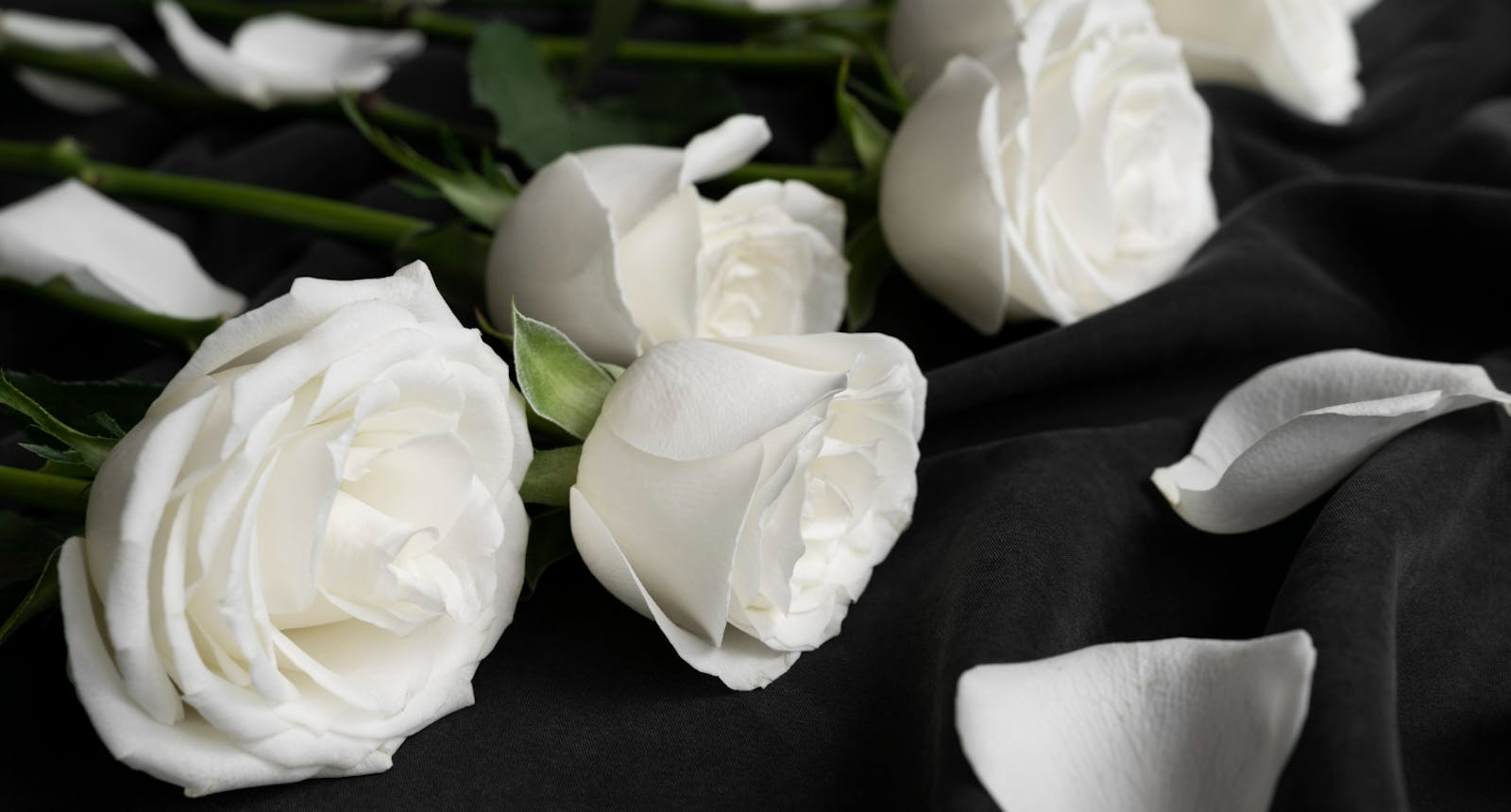 fatal car accident wrongful death