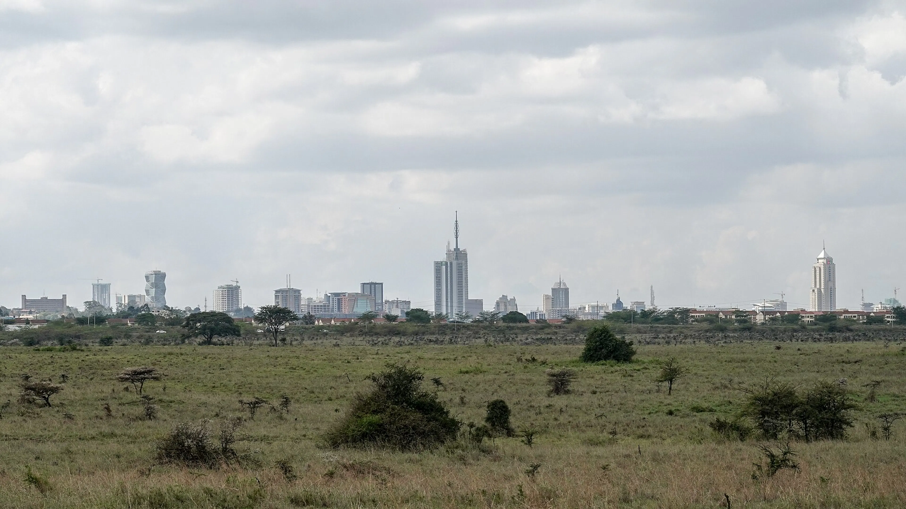 Nairobi skyline from Nairobi National Park
