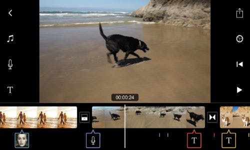 The Ultimate Guide to the Best Mobile Apps for Video Editing