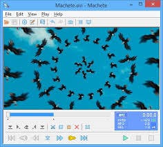 The Best Watermark Free Video Editors