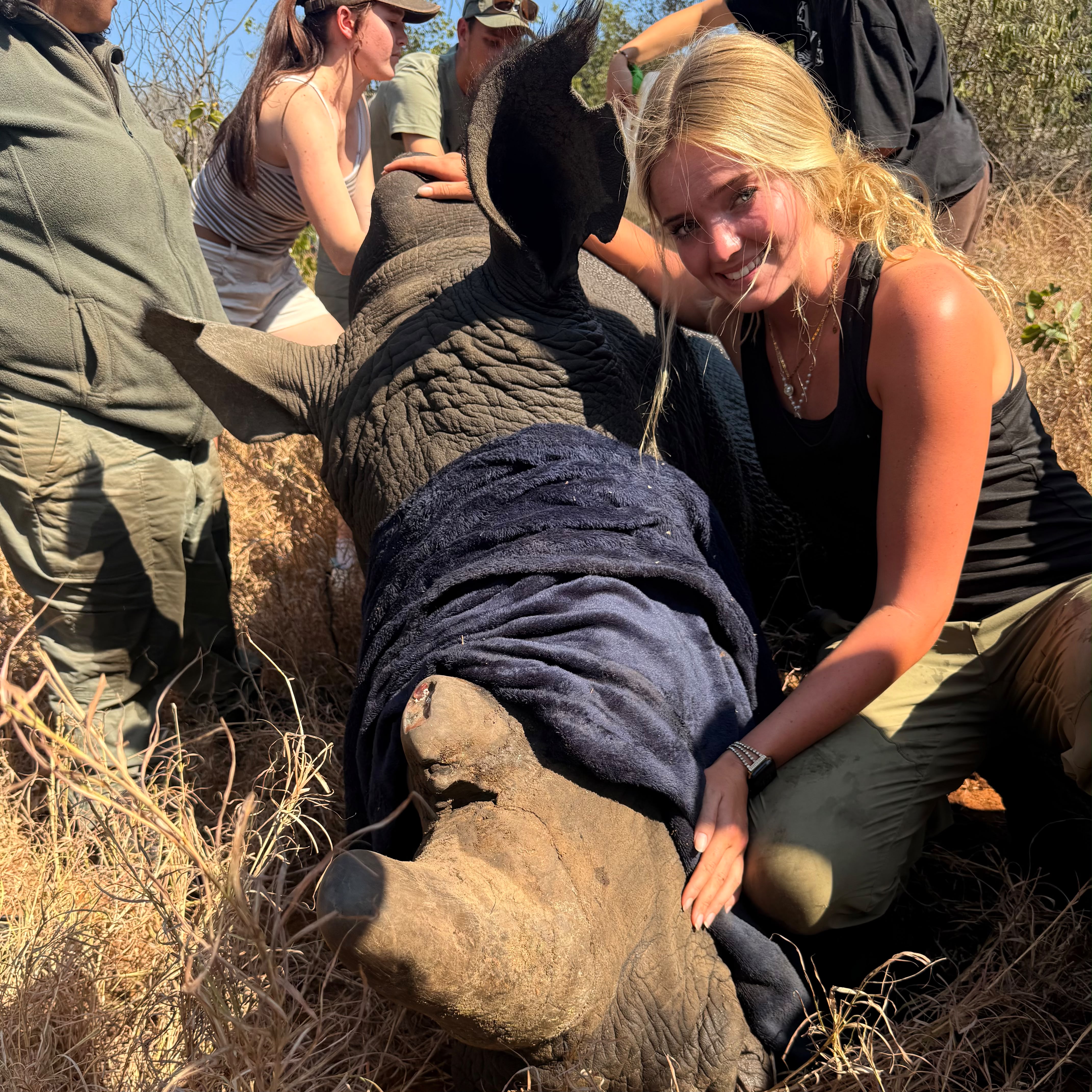 Volunteer smiling next to sedated rhino for veterinary procedure - Samantha Collett