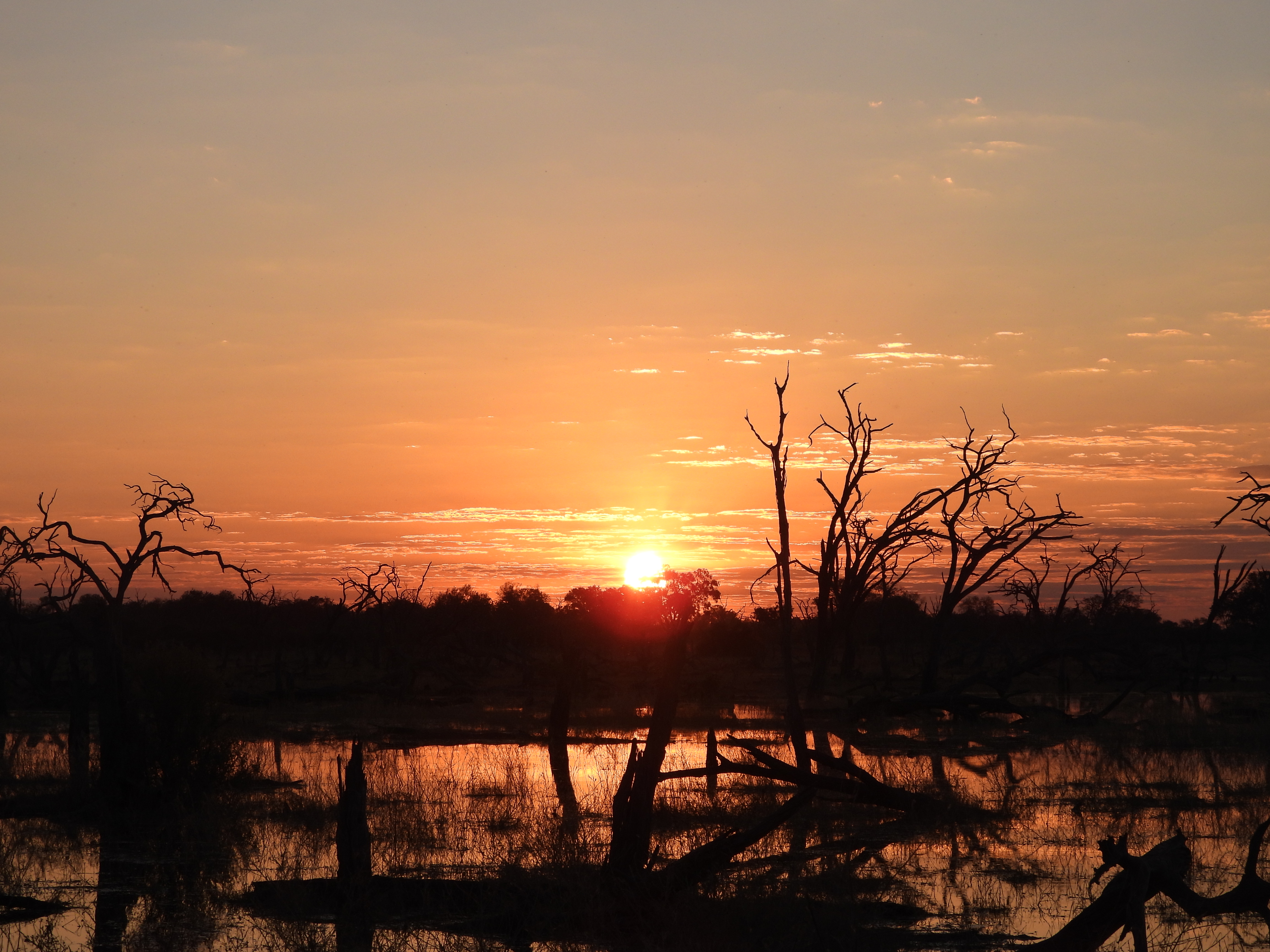 Sunset over the water and the bush in the Okavango - Charles Pfeifer